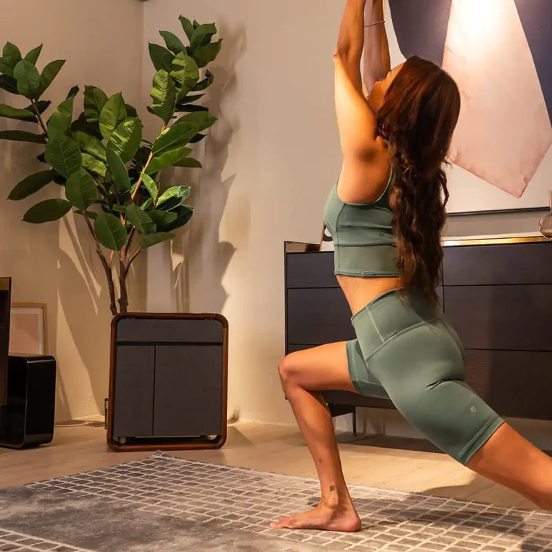EVIS LuxeCube – Mesa de purificação de ar inteligente 