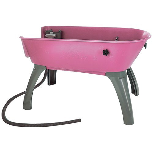 Banho de reforço para cães 